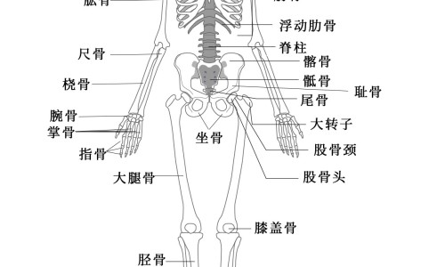 孕妇5个月会得什么病呢-孕妇5个月会得什么病网- 孕期五个月症状知识,分享怀孕五个月孕妇有什么症状