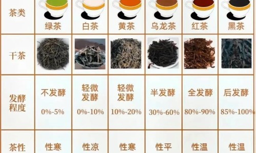 孕妇5个月会得什么病呢-孕妇5个月会得什么病网- 孕期五个月症状知识,分享怀孕五个月孕妇有什么症状