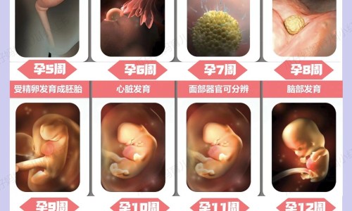 怀孕5个月对孕妇的影响-孕妇5个月会得什么病网- 孕期五个月症状知识,分享怀孕五个月孕妇有什么症状